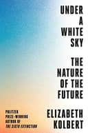 Under a White Sky