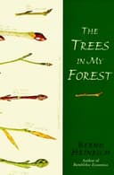 The trees in my forest