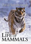 The life of mammals