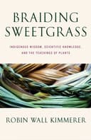 BRAIDING SWEETGRASS